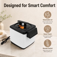Générateur de vapeur compact 2,6 L pour sauna, machine à vapeur portable pour tente de spa à domicile, générateur de vapeur pour bain domestique