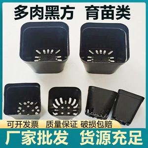 Black <b>Square</b> Seedling Pots 5.5 Cm With Drainage Holes For Nursery Planting - Product Image 4