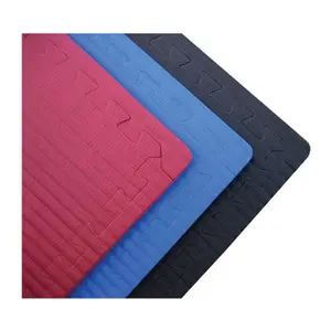 Sansd EVA Taekwondo Foam Puzzle Jigsaw Mat/EVA Martial Arts Mat Supplier
