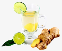 Poudre aromatisante concentrée au citron et au gingembre de qualité alimentaire halal pour les boissons, les jus, les boissons gazeuses et le tabac