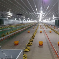 Équipement d'élevage automatique de poulets pour 5000 oiseaux avec système de contrôle environnemental en Afrique