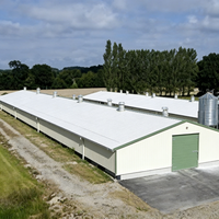 Bâtiment commercial préfabriqué en acier à faible coût, hangar à poulets, structure en acier pour élevage avicole