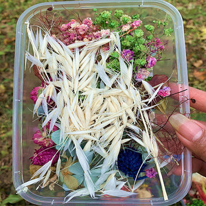 Preserved Eterna Epoxy Resin Pendant Necklace Craft Diy Floral 1 Box Natural <strong>Dried</strong> Flower Dry <strong>Plant</strong> for Aromatherapy Candle - Product Image 6