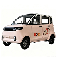 Voiture électrique miniature pour adultes, vente directe d'usine, vitesse de 35 km/h, batterie au plomb-acide, capacité 4 personnes