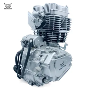 High Performance Zongshen 250cc Engine False Double Cylinder Four Strokes Air-cooled Engine for Tricycle Three Wheels