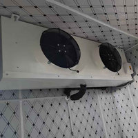 Zeevruchten- en vleesmobiele vriescontainer koelcel -20°C ℃   Snelvriesinstallatie met luchtkoeling voor visverwerkingsbedrijven aan de haven