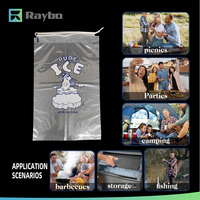 Sacs à glace en plastique LDPE jetables à grande capacité avec logo personnalisé RAYBO, imprimé avec logo, 8/10/20 LB, avec cordon de serrage