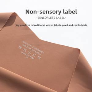 U495 avrupa amerikan çabuk kuruyan nefes düşük bel buz ipek dikişsiz külot külot kadınlar için - Product Image 5