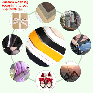 Tùy chỉnh màu sắc thân thiện với môi phân hủy sinh học gai bông ruy băng xương cá băng vải vali hành lý Túi dây đeo ba lô vành đai - Product Image 4