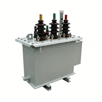 Transformateur de puissance à bain d'huile 50 KVA triphasé 10,5 KV à 400 V, hermétique, transformateur de distribution S13 50 Hz