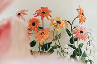 Tournesol géant en papier fait à la main personnalisé Design floral pour mariage, anniversaire et fêtes de fin d'études Décorations de Pâques