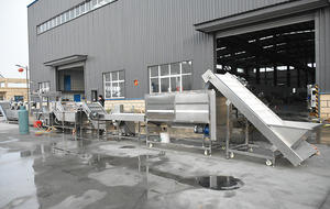 Línea de producción Industrial de patatas frisas, línea de producción Industrial de patatas frisas a pequeña escala - Product Image 6