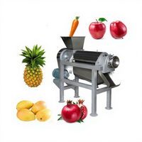 Zware uitvoering Malediven Mannelijke Guave Wortel Appel Citroen Spiralen Sap Fruitpulp Machine