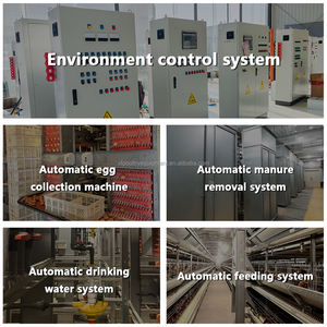 Vendita calda gabbie per animali automatiche a 10000 strati per batteria gabbie per uova - Product Image 6