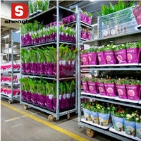 Chariot de jardinage danois à quatre roues en acier inoxydable, capacité 400 kg, conteneur à roulettes, thermolaqué, pour fleurs et jardins, OEM