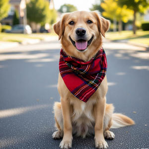 בנדנה לכלב משובצת אישית, צעיף לכלב טרטן לחג, תגית כלב בהתאמה אישית, בנדנה לחיית מחמד משובצת קשורה ביד - Product Image 2