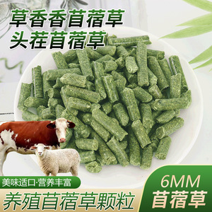 Pellets de alfalfa de 6 mm para alimentación de aves y ganado, secos y frescos de Guyuan, Ningxia - Product Image 5