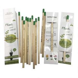 <span class=keywords><strong>Crayon</strong></span> en bois naturel personnalisé avec logo, pour plantes vertes, <span class=keywords><strong>crayon</strong></span> spécial avec graines, emballages en pot, crayons plantables standard - Product Image 1