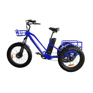 Ristar 녹색 힘 수송 e 자전거 3 바퀴 자전거 세발자전거 골프 용 성인 전기 trike