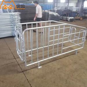 Bestiame animali gabbie prodotto allevamento suini stalle gestazione casse attrezzature per allevamento scrofe letto di gestazione scrofe - Product Image 6