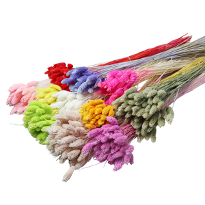 Hierba de piedras preciosas secas naturales, césped Floral colorido para herramientas de fotografía, decoración para <span class=keywords><strong>el</strong></span> hogar, pampas secas, hierba, decoración para bebés - Product Image 1