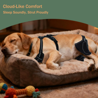 Attelle réglable antidérapante pour pattes arrière de chien, stabilisateur d'articulation respirant, protège-genou pour animaux de compagnie, soulagement de la douleur arthritique