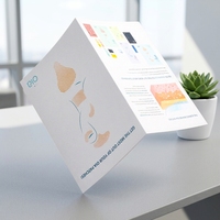 Impression en gros de dépliants/brochures/livrets manuels d'instructions sur papier A4