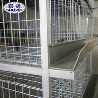 Élevage de poulets Cages à poulets de chair automatiques Équipements de volaille faciles à installer pour un usage domestique
