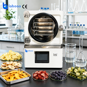 Mini-déshydrateur sous vide de laboratoire LABOAO avec <span class=keywords><strong>pompe</strong></span> <span class=keywords><strong>à</strong></span> vide intégrée - Product Image 1