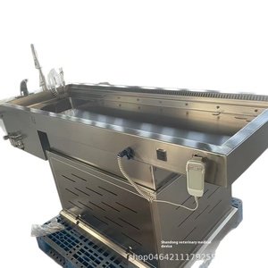 Bàn khám nghiệm tử thi bằng thép không gỉ 304 để chăm sóc thú cưng cho mẫu vật pháp y chó & nhà xác tang lễ sử dụng - Product Image 2