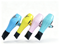 Sèche-cheveux professionnel électrique personnalisé avec logo OEM, moteur AC 2600W, fonction ionique, diffuseur, buse, pour salon, hôtel, usage domestique et en camping-car