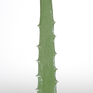 Planta de <span class=keywords><strong>Aloe</strong></span> <span class=keywords><strong>Vera</strong></span> falsa de 40cm, planta de <span class=keywords><strong>Agave</strong></span> Artificial, plantas de interior para el hogar, maceta para interior, mesa, decoración de jardín - Product Image 2