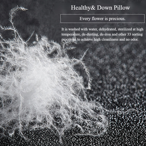 <span class=keywords><strong>Cuscino</strong></span> in <span class=keywords><strong>piuma</strong></span> <span class=keywords><strong>d</strong></span>'<span class=keywords><strong>oca</strong></span> all'ingrosso cuscini morbidi per il collo colorati cuscini decorativi classici per dormire - Product Image 4