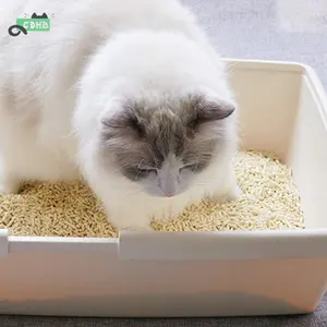 Natural clumping low dust quick clumping factory tofu cat litter High-quality cat's feet feel good natural cat litter sand