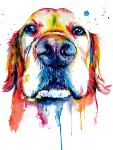 Dieren Schilderij Dier Mooie Hond 5d Groothandel Diy Strass Mozaïek Voor Woondecoratie Diamond <span class=keywords><strong>Painting</strong></span> Kits - Product Image 4