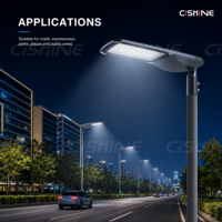 Cishine 30w 60w 120w 160w 240w Module LED extérieur étanche à haut lumen pour éclairage public IP66 en aluminium moulé sous pression pour autoroutes et routes principales