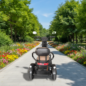 HengQiao Scooter électrique tricycle 2 places haute puissance 60V |   Corps ouvert |   Croisière panoramique pour les sentiers côtiers et les stations balnéaires en bord de rivière - Product Image 1