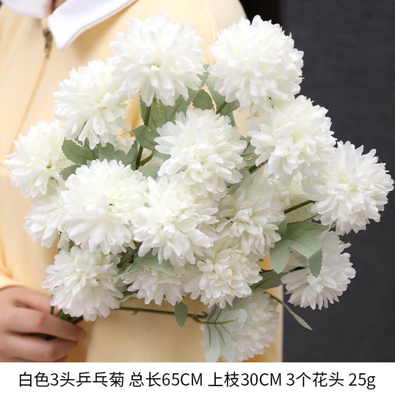 Chrysanthème à 3 têtes de deuxième génération