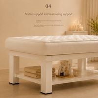 Table de massage moderne de luxe haut de gamme, portable, pour les soins du visage et des cils, utilisation en salle de sport ou en salon, lit de beauté confortable et réglable