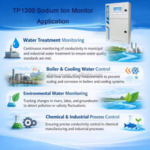 在线水质分析仪 水质钠离子监测仪，用于监测锅炉冷凝水质量 - Product Image 4