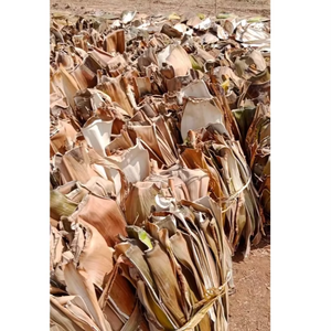 Assiettes en feuilles d'arec écologiques et résistantes pour fêtes, événements et usage quotidien – Biodégradables, compostables, résistantes à l'eau et légères - Product Image 1