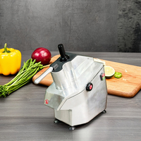 Machine à couper, hacher, trancher et dicer les fruits et légumes électriques, capacité de 500 kg, pour restaurants, hôtels, cuisines commerciales