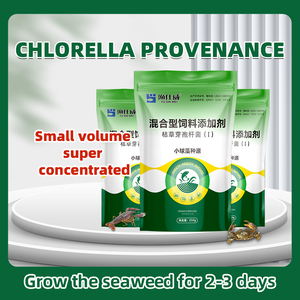 <span class=keywords><strong>Chlorella</strong></span> nồng độ cao dành riêng cho nước canh tác tảo và cải thiện chất lượng đáy - Product Image 3