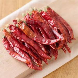 Cabai Merah Kering Pedas Utuh Cabai Merah India Cabai Kering Hancur untuk Kebutuhan Pengolahan Makanan Siap untuk Semua Spesifikasi - Product Image 3