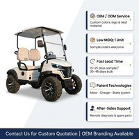 Carrito de Golf Eléctrico para 2 Personas, Motor Asíncrono de CA de 4kW, Freno Hidráulico de Doble Circuito de 60V, Suspensión MacPherson, Neumáticos Todoterreno