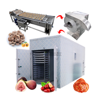 Commerciële dehydrator voor fruit en groenten, tomaten, vijgen, abrikozen, dadels; was-, droog- en verwerkingslijn