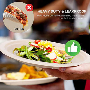 Assiettes en papier Assiettes en papier de bagasse jetables de 10 pouces en vrac Grandes assiettes en papier composables non blanchies écologiques - Product Image 3