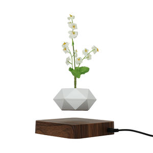 Pot de fleurs bonsaï à <span class=keywords><strong>suspension</strong></span> à lévitation magnétique de haute qualité en gros - Product Image 2