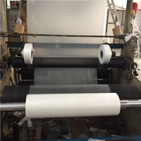 Rouleau de Film HDPE Semi-Transparent, épaisseur 15mic, 40cm de largeur