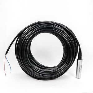 เซ็นเซอร์วัดระดับแบบดิจิตอลอัจฉริยะสำหรับบ่อน้ำลึก 0-300 เมตร 4-20mA 0-10V RS485 HART 0-500 เมตร สำหรับอุตสาหกรรม OEM SS304 แบบฝัง - Product Image 3